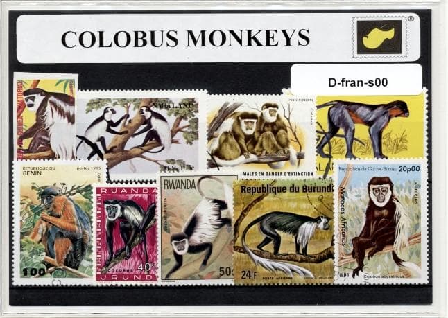 front - colobus monkeys
