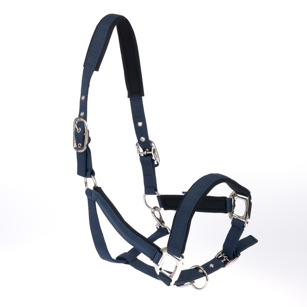 Nomad Tales halster met neopreen vulling, marineblauw ponypaard