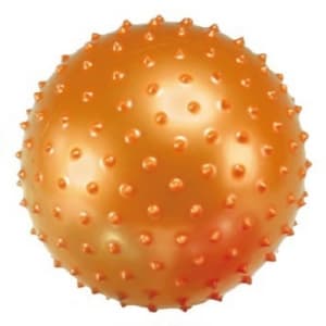 Educatieve Stekelige Bal 10-20cm