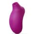 LELO Sona 2 Cruise (Verschillende Tinten) - Purple view 2
