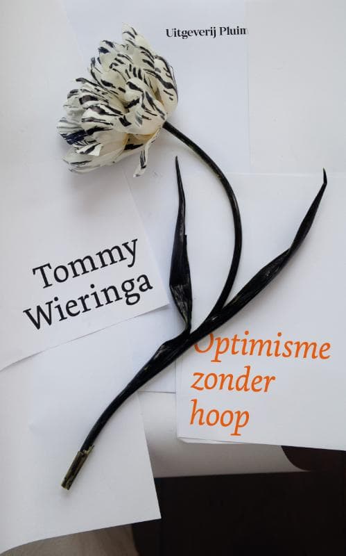 Optimisme zonder hoop (Hardback)
