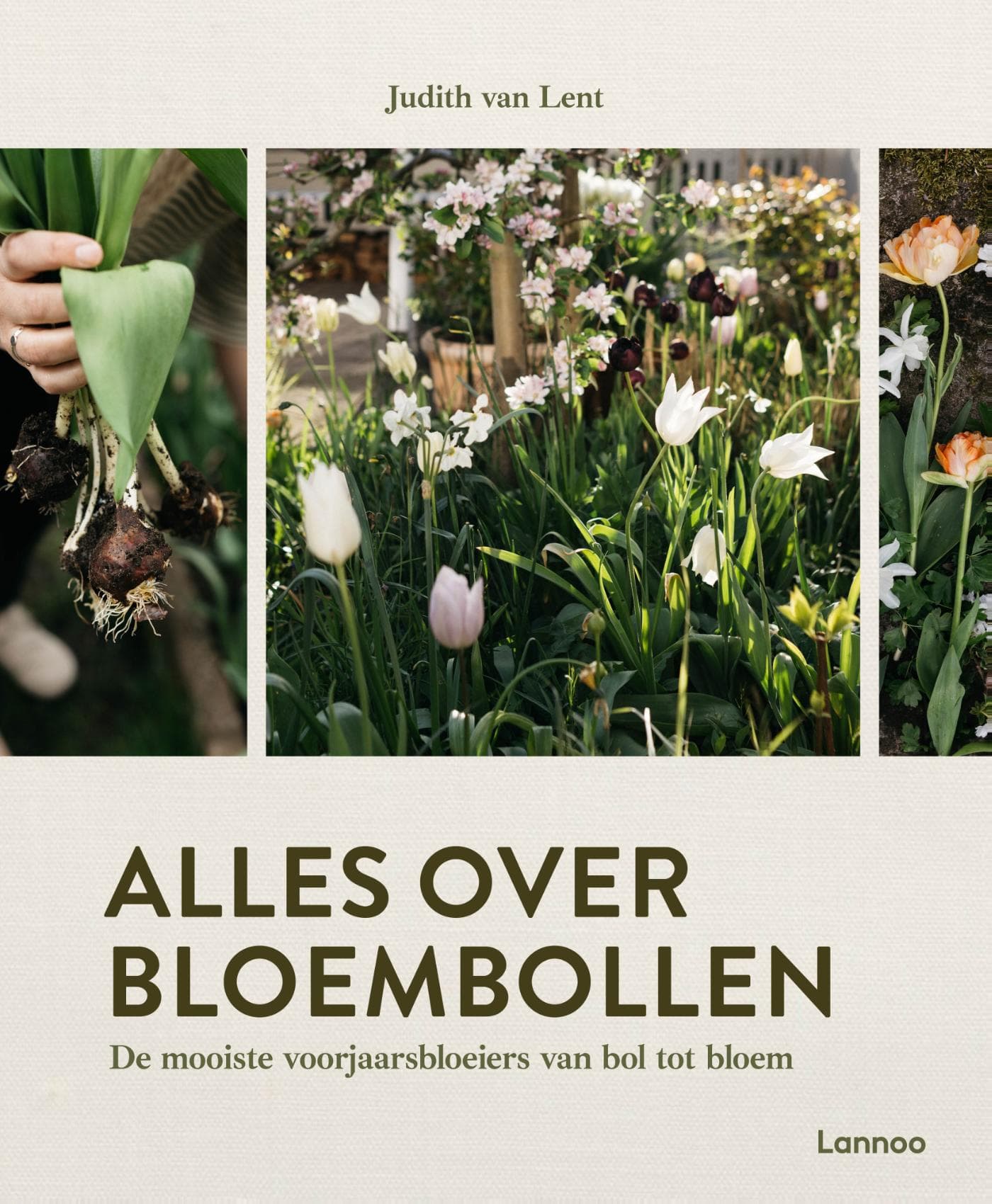Alles over bloembollen (Hardback)