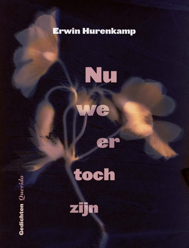 Nu we er toch zijn (Paperback)