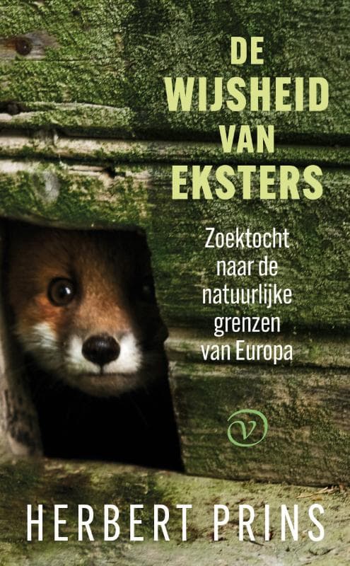De wijsheid van eksters (Paperback)
