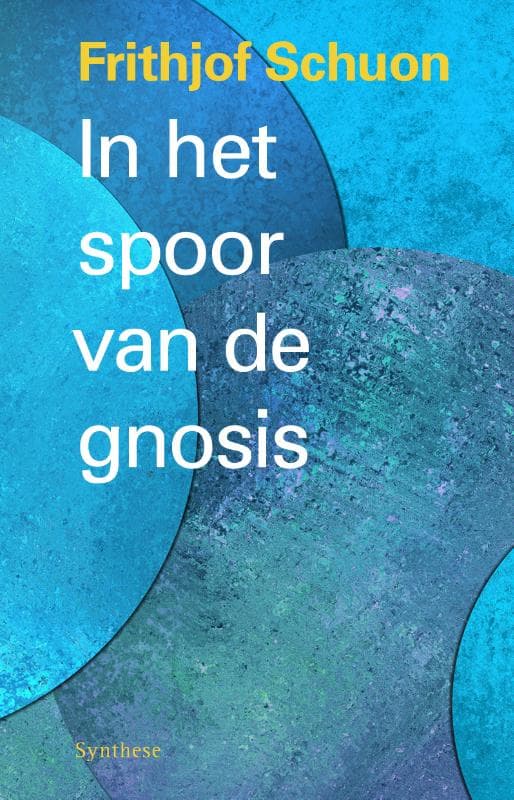 In het spoor van de gnosis (Paperback)