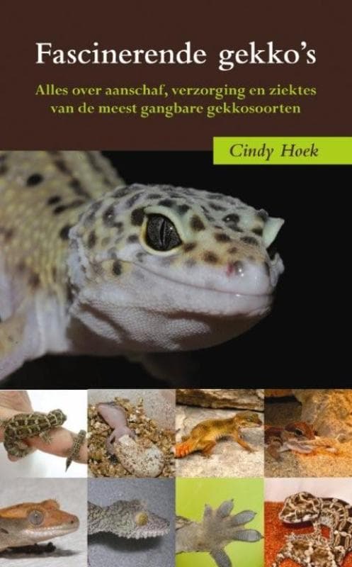 Fascinerende gekko's (Paperback)