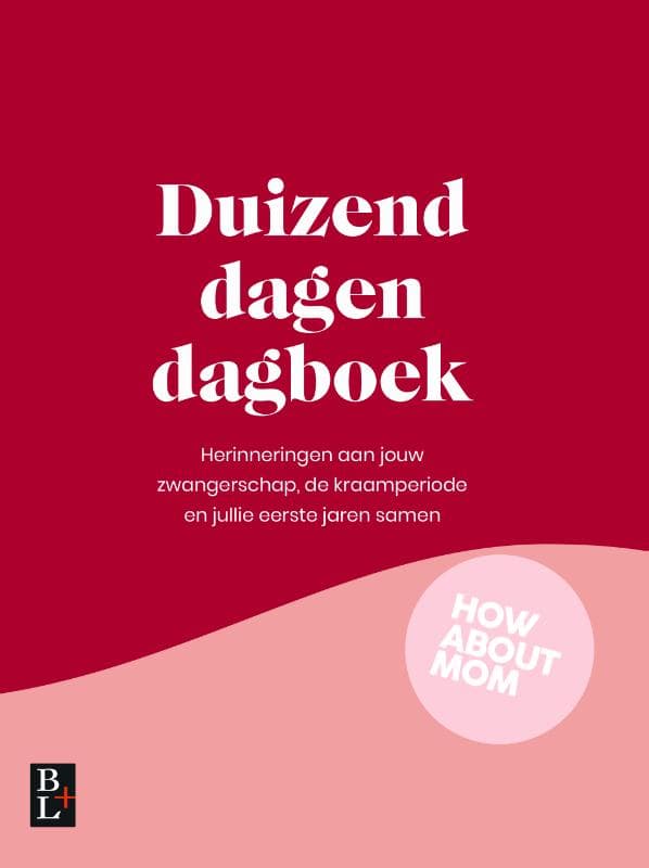 Duizend dagen dagboek (Paperback)