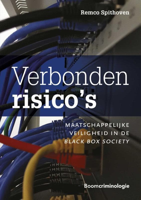 Verbonden risico's (Paperback)