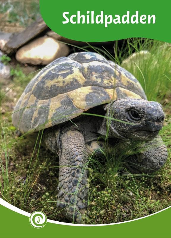 Schildpadden (Hardback)