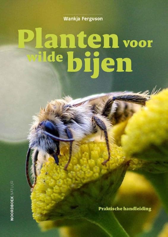 Planten voor wilde bijen (Paperback)
