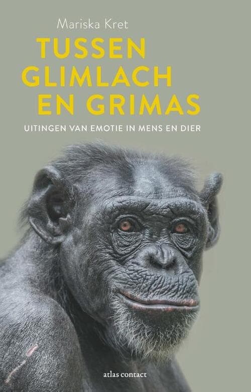 Tussen glimlach en grimas