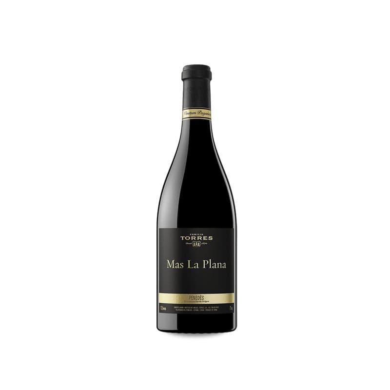 Familia Torres Mas La Plana 2019