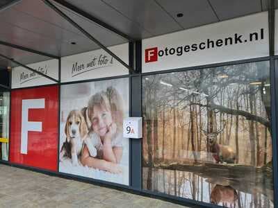 Raamsticker 70x105 cm