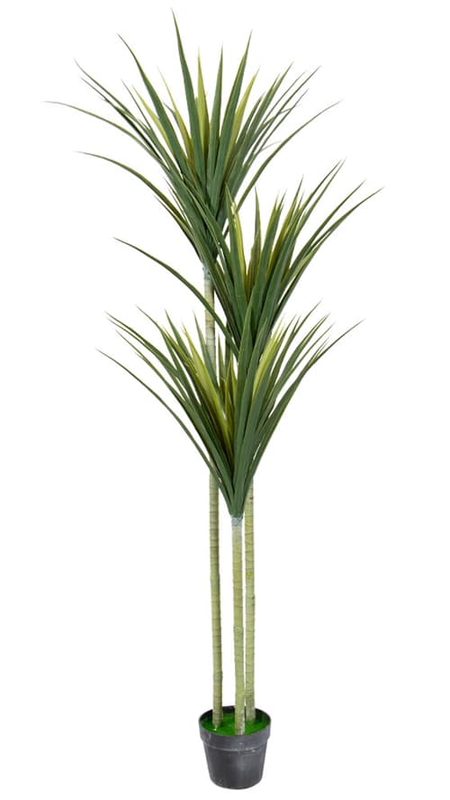 Kunstpalm met 3 stammen 160cm hoog - Dracaena Marginatapalm