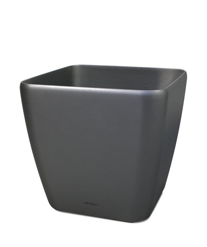 Lechuza Quadro sierpot 35x35x33 cm antraciet