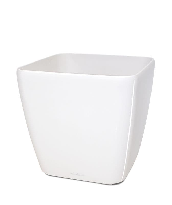 Lechuza Quadro sierpot 21x21x20 cm wit