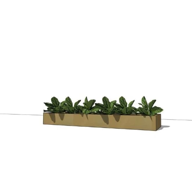 Gouden border - per m³