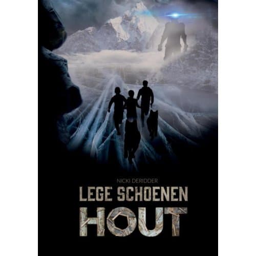 Lege Schoenen - Hout - Nicki Deridder