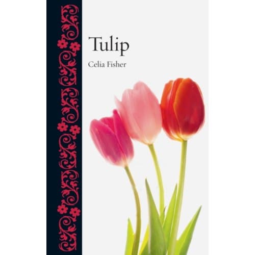 Tulip - Botanical - Celia Fisher