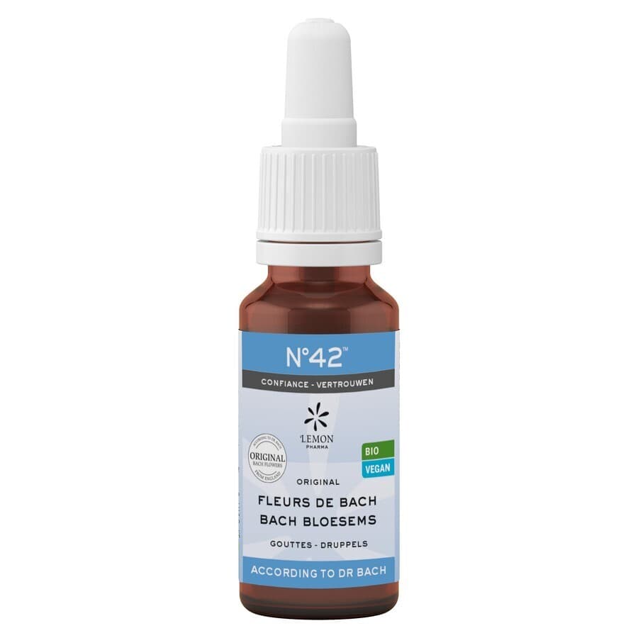 Bachbloesem Bio N°42 Druppels Zelfvertrouwen 20ml