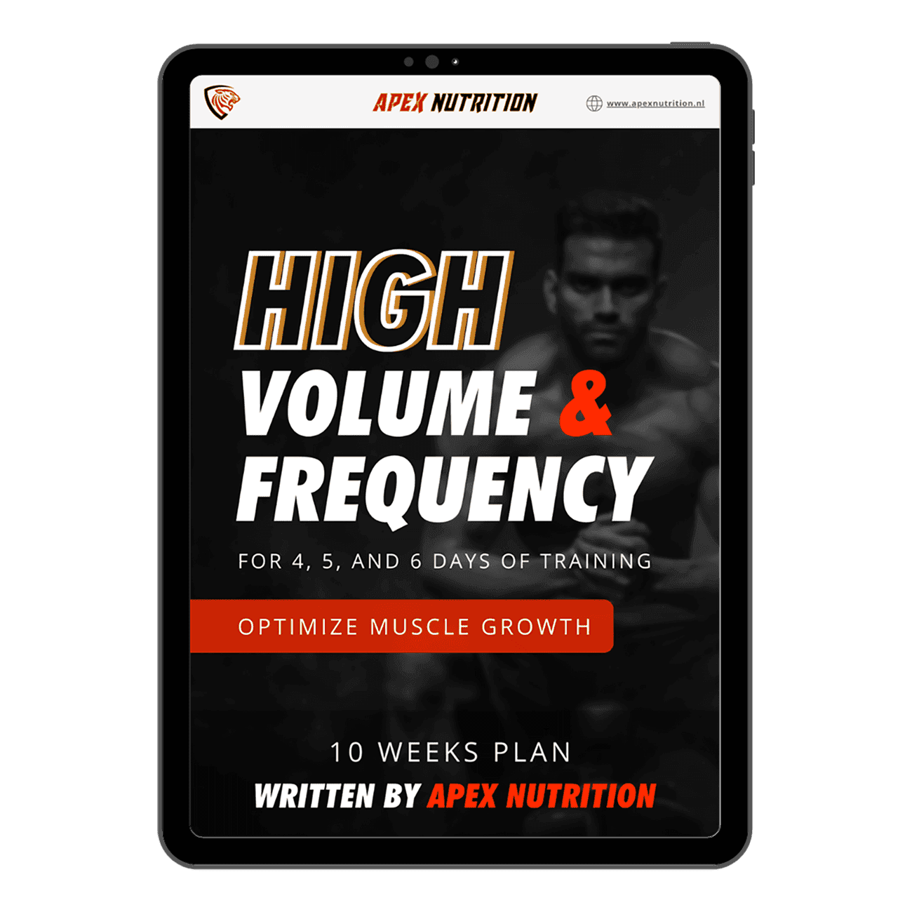Trainingsschema E-Book