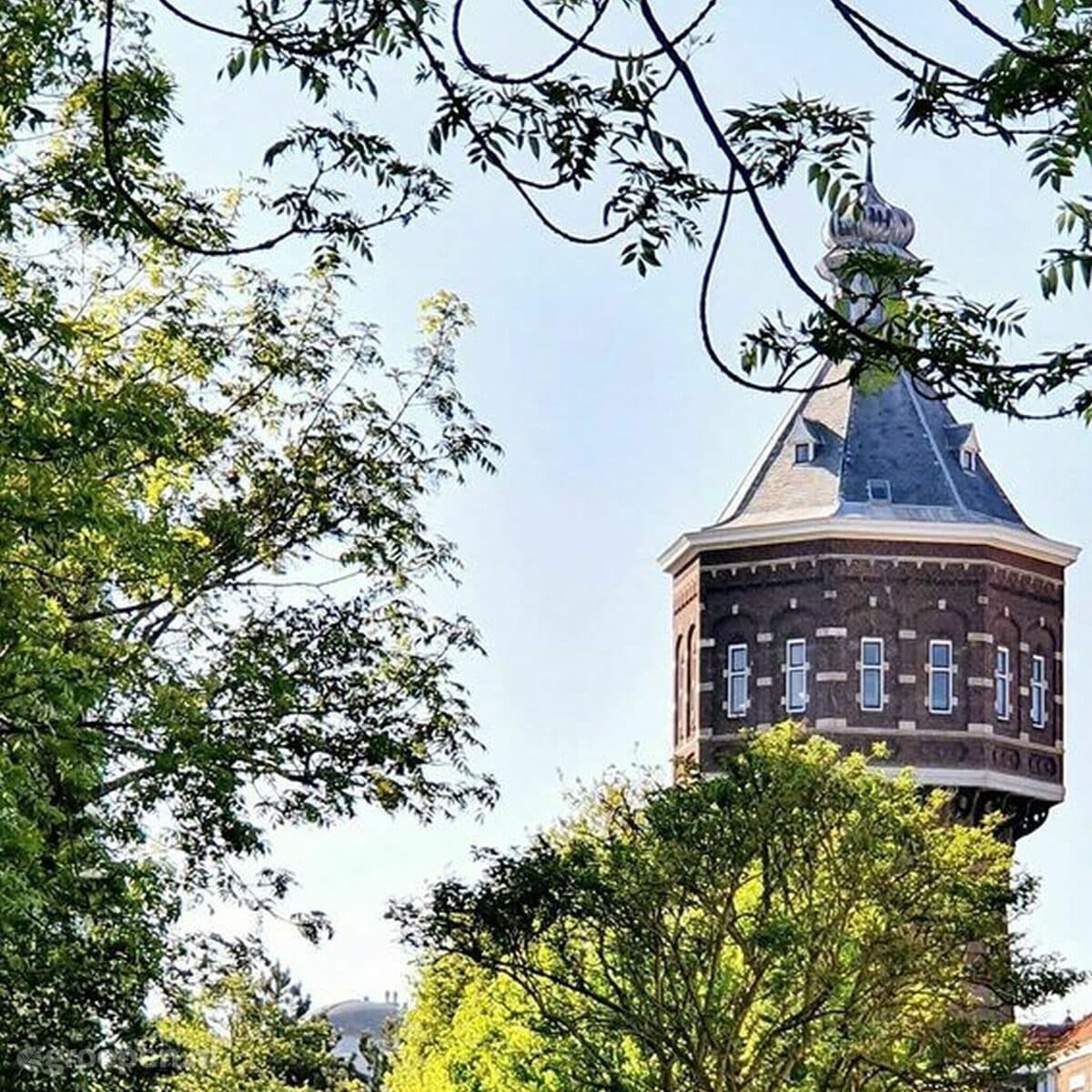 Vakantiehuis Vlissingen