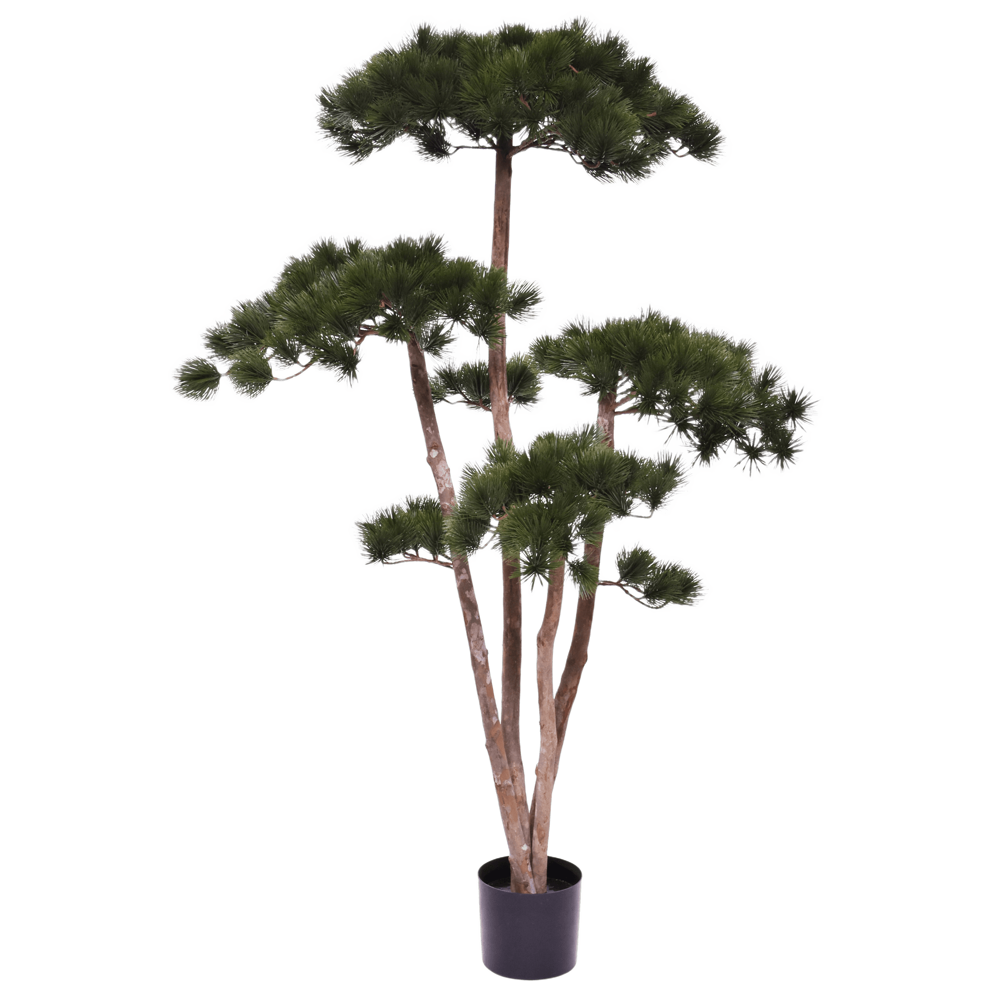Pinus Kunst Bonsaiboom Deluxe 150cm