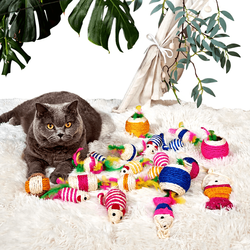 Meowmagic Veer en Sisal Bal Speelgoed 4 Stuks