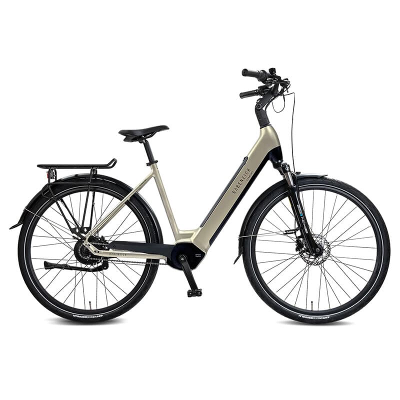 Rabeneick Comfort E-Bike Wave 51 champagnegoud