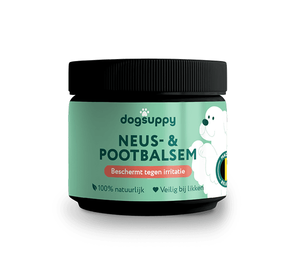 DogSuppy Neus- & Pootbalsem 125 ml