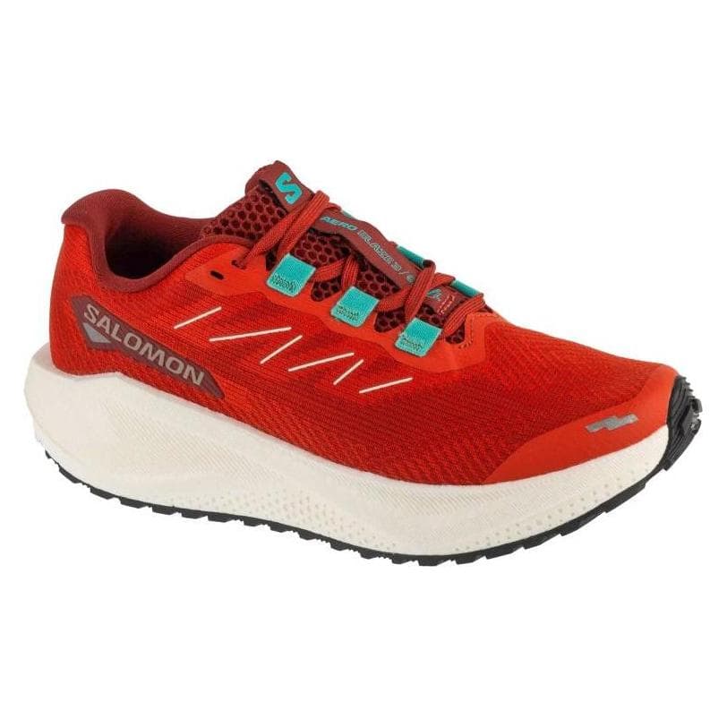 Salomon, Vrouwen, Hardloopschoenen, Aero Blaze 3 GRVL (41 1/3), Oranje