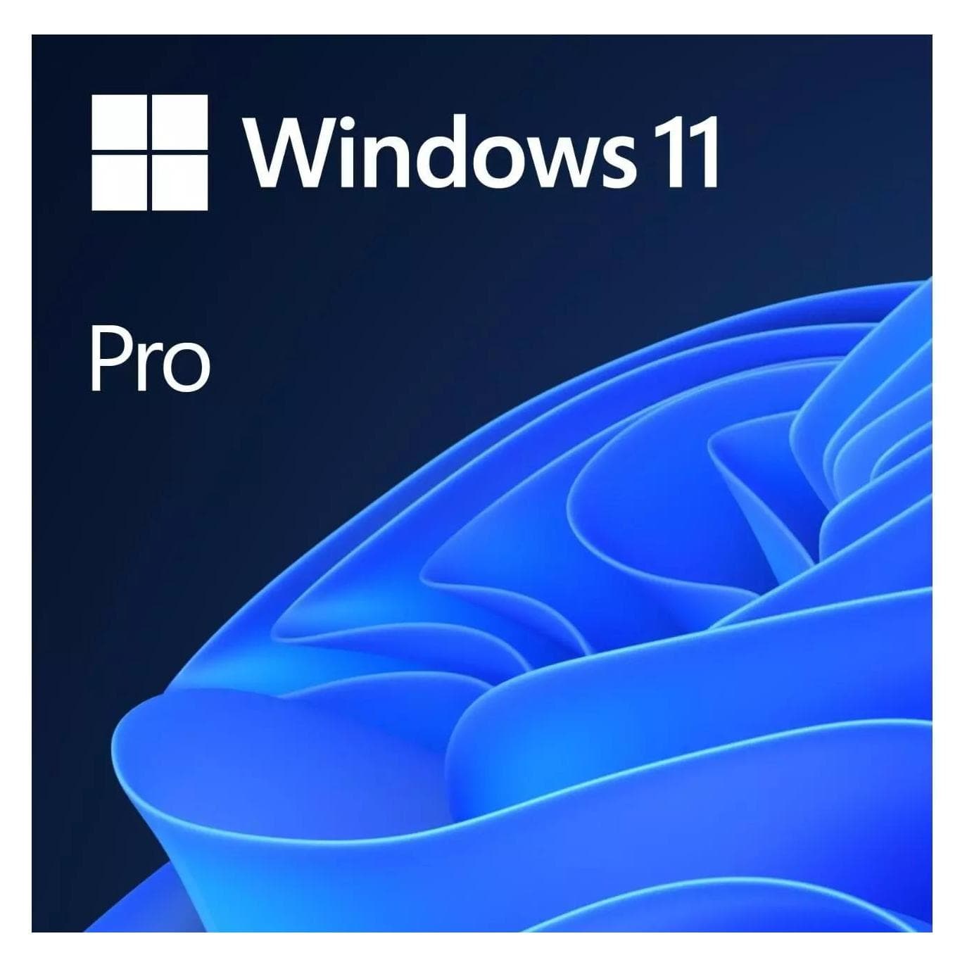 Microsoft Windows 11 Pro (EN) voor Windows