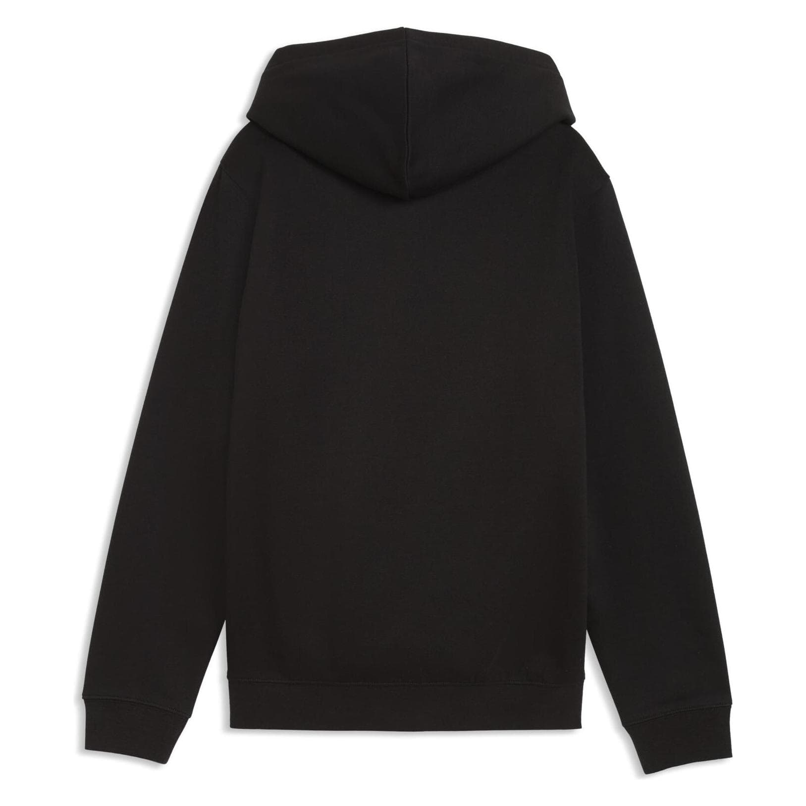 Puma, Girls, Sweaters, ESS NATURE 2.0 Graphic Hoodie FL, Black, (164)