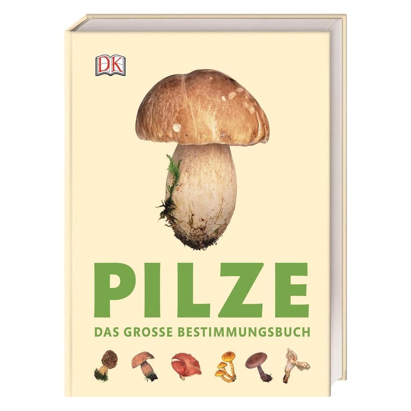 Pilze, Gids van Thomas Læssøe