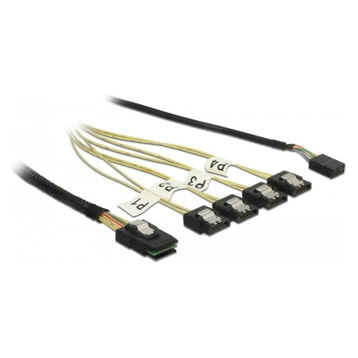 Delock Interne SAS kabel (100 cm, Mini-SAS), Interne kabel (PC)