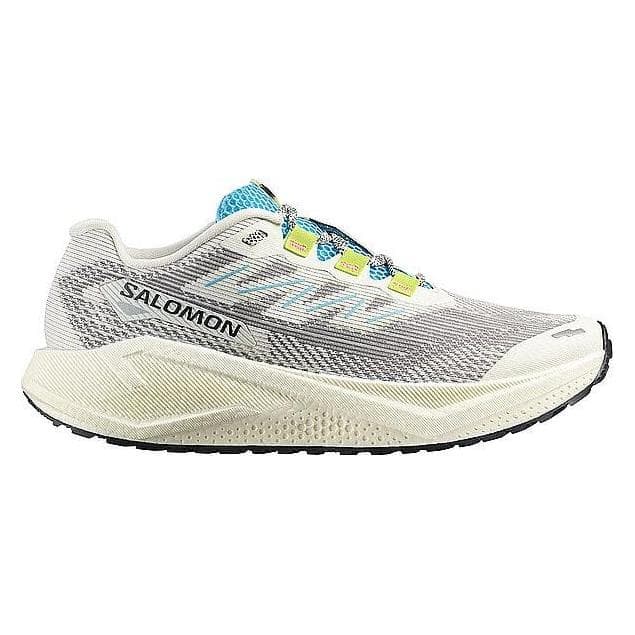 Salomon, Men, Running shoes, Aero Blaze 3 GRVL (44), Black, Beige