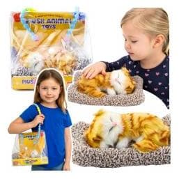 Lean Toys Schlafende rote Katze auf einem Kissen, Figur mit Fellbeutel und Geräuschen