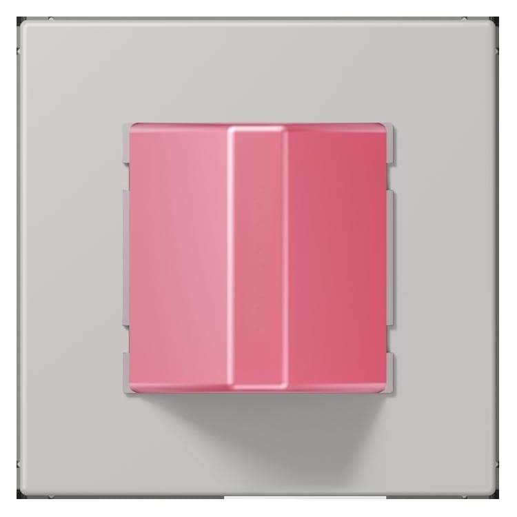 JUNG, Accessoires voor gebouwbeveiliging, Uitschakelknop
