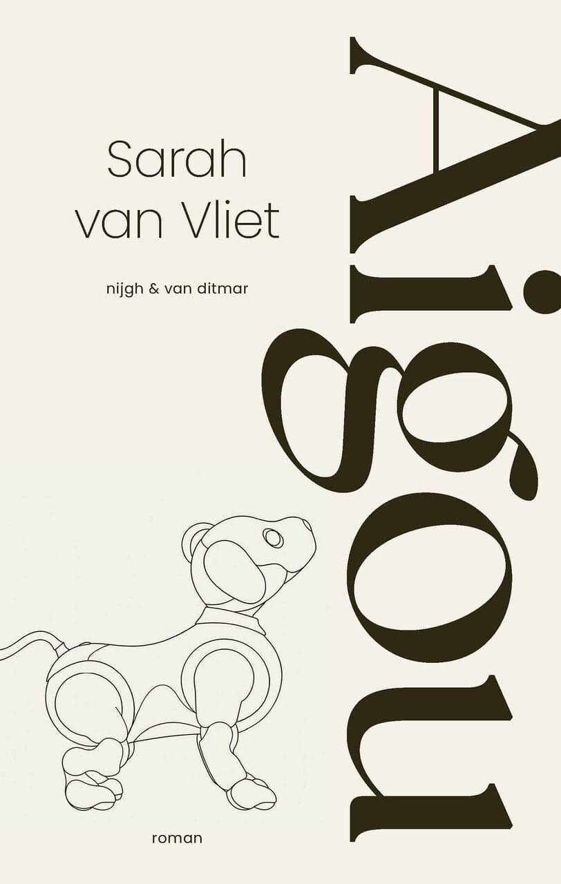 Aigou (Paperback)
