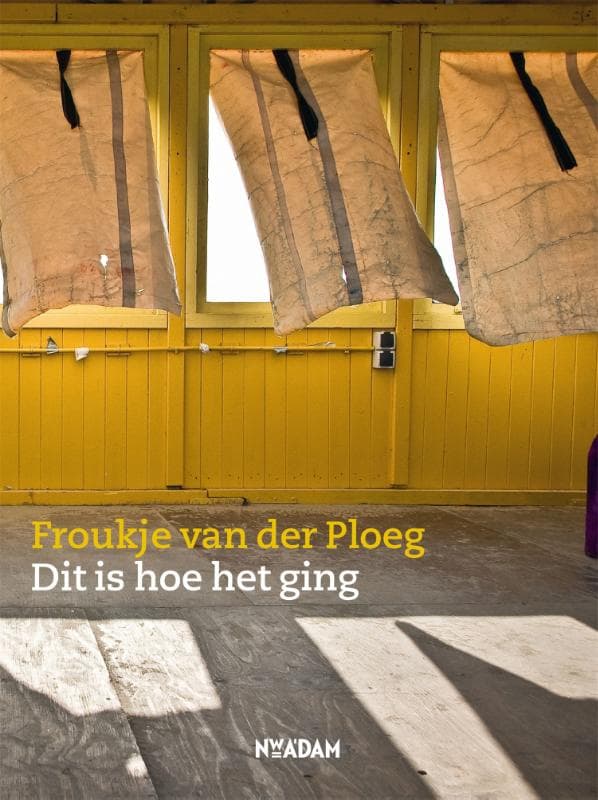 Dit is hoe het ging (Paperback)