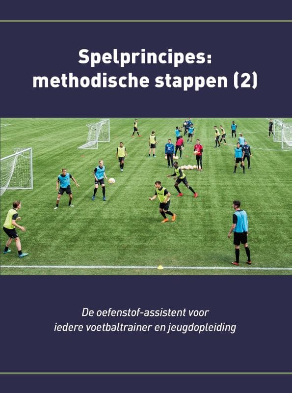 Spelprincipes (Paperback)