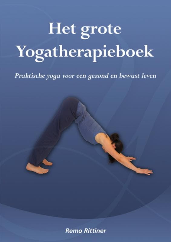 Het grote yogatherapieboek (Paperback)