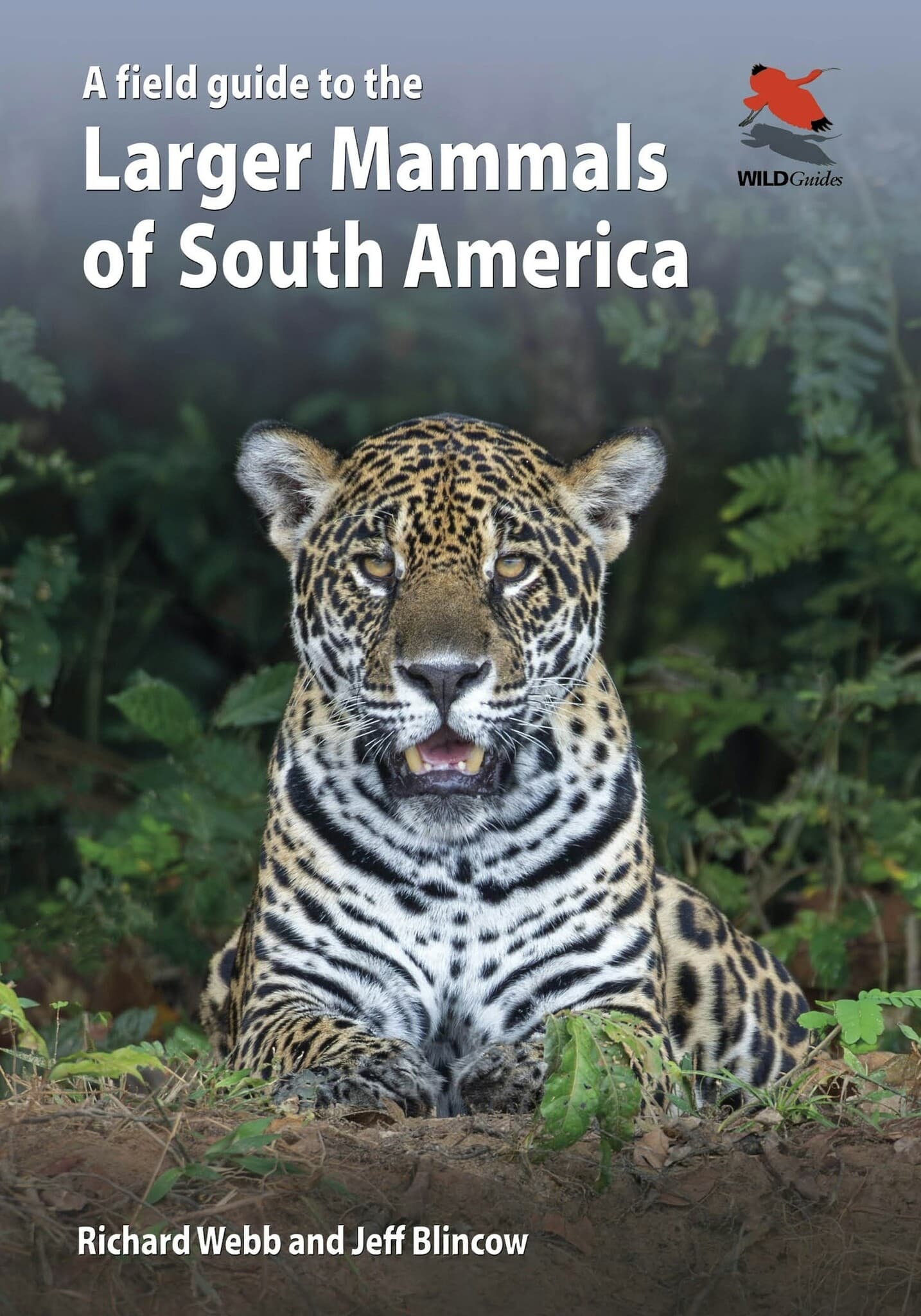 Natuurgids A Field Guide to the Larger Mammals of South America | Prin