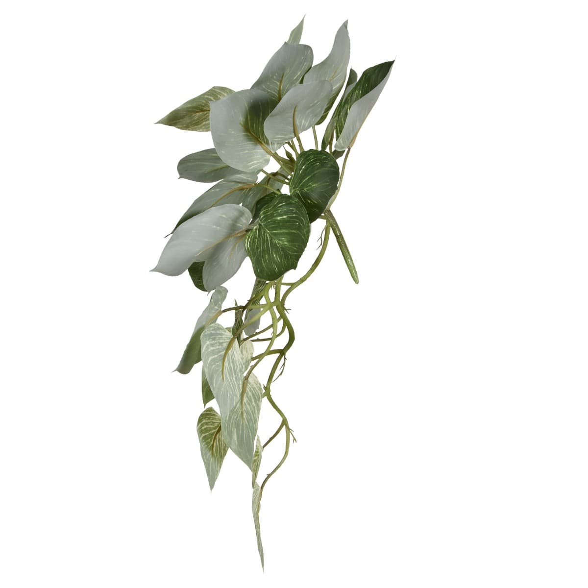 Philodendron Birkin hanger 65cm