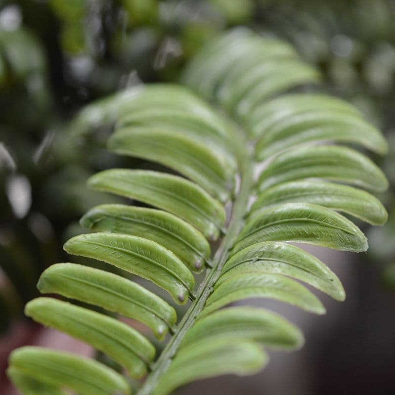 Asplenium Varen kunstplant 35cm in pot