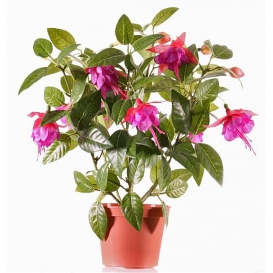 Bellatio flowers & plants kunstplant bloemen - fuchsia - 30 cm
