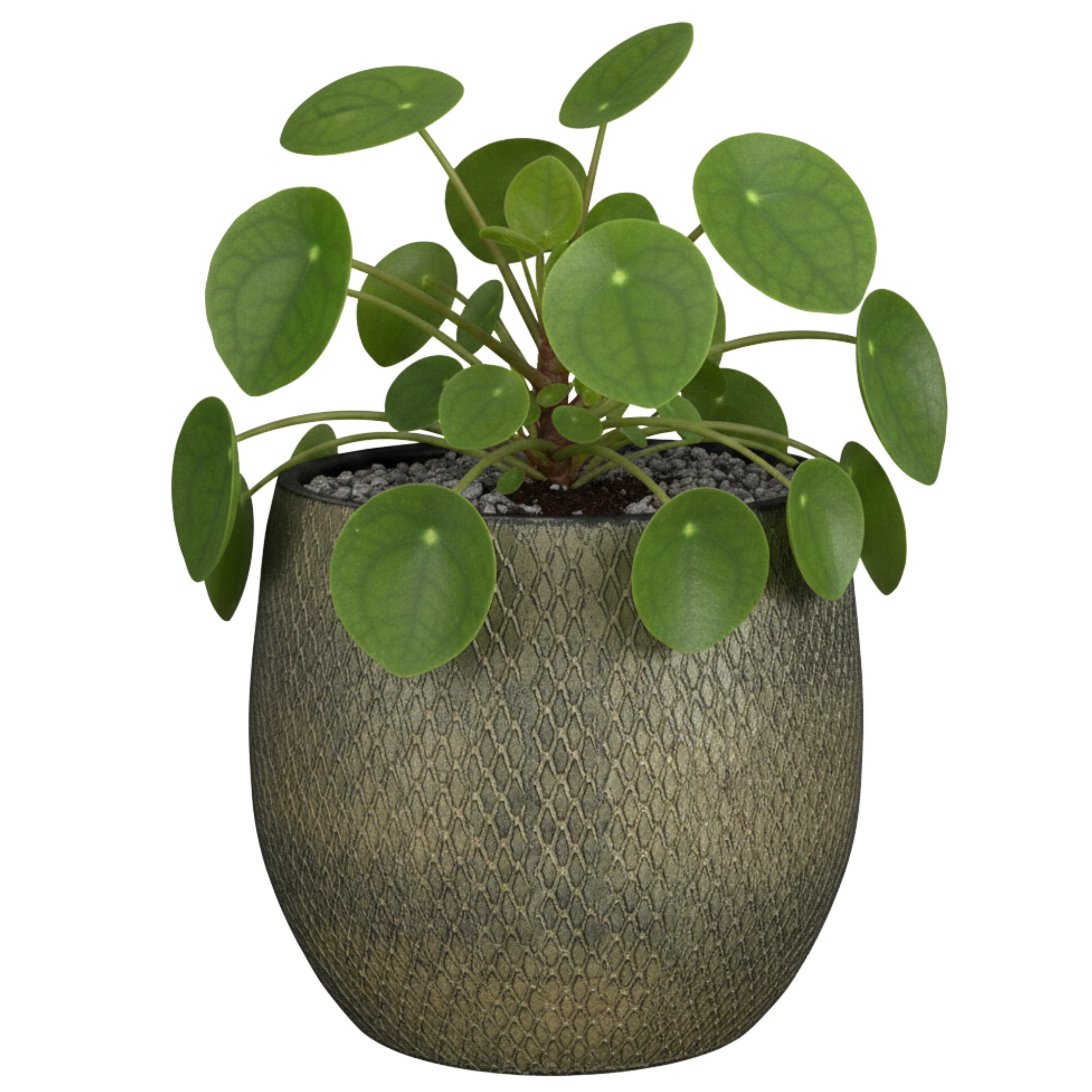 Mica decorations Bloempot / plantenpot Madeira - groen - 16 x 16 cm -