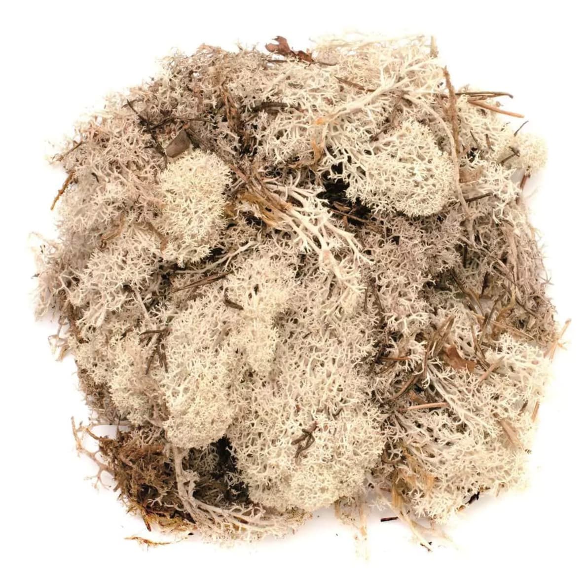 Decoratie nep mos - naturel - 50 gram - Hobby/knutselen - herfst/kerst thema decoreren