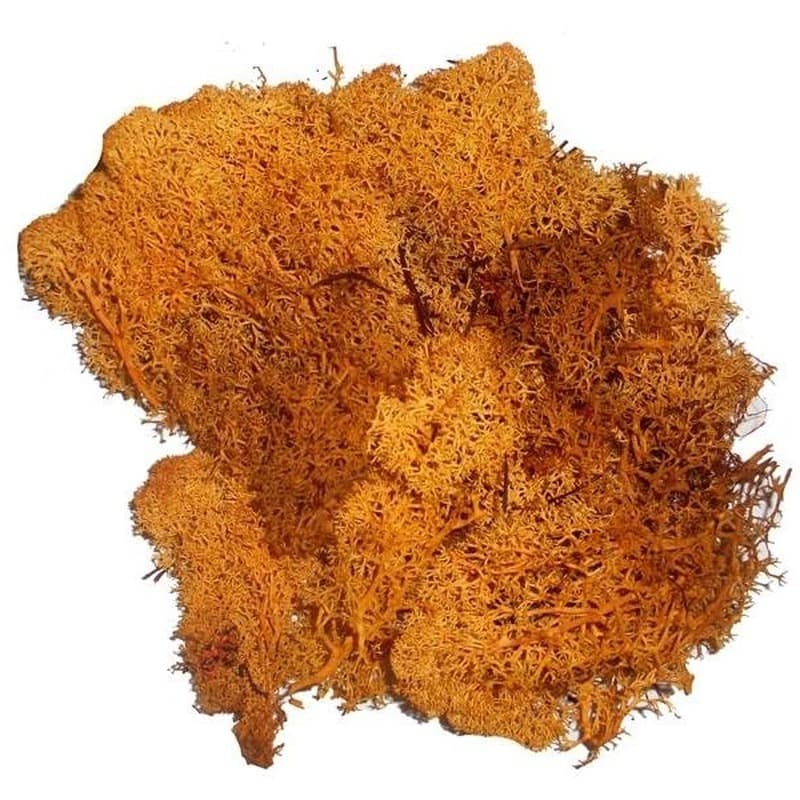 Decoratie nep mos - oranje - 50 gram - Hobby/knutselen - herfst/kerst thema decoreren