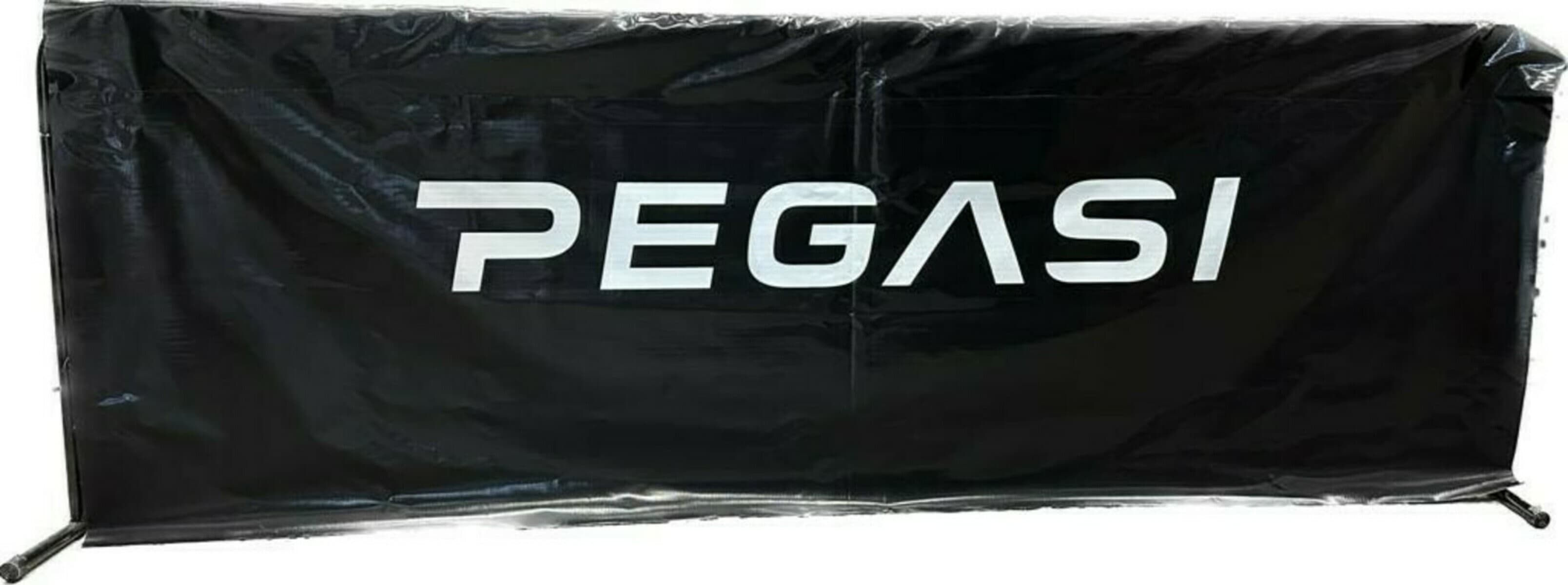 Pegasi tafeltennis speelveldafzetting